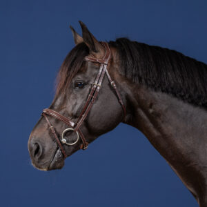 Dy'on US Collection Flash Noseband Bridle