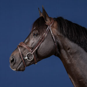 Dy'on US Collection Anatomic Flash Noseband Bridle
