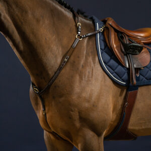 Dy'on D Collection Bridge Breastplate