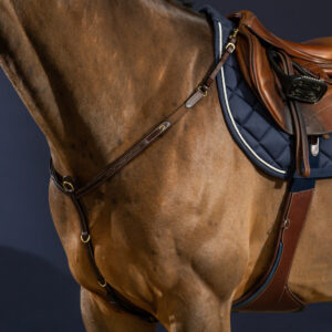 Dy'on D Collection Breastplate
