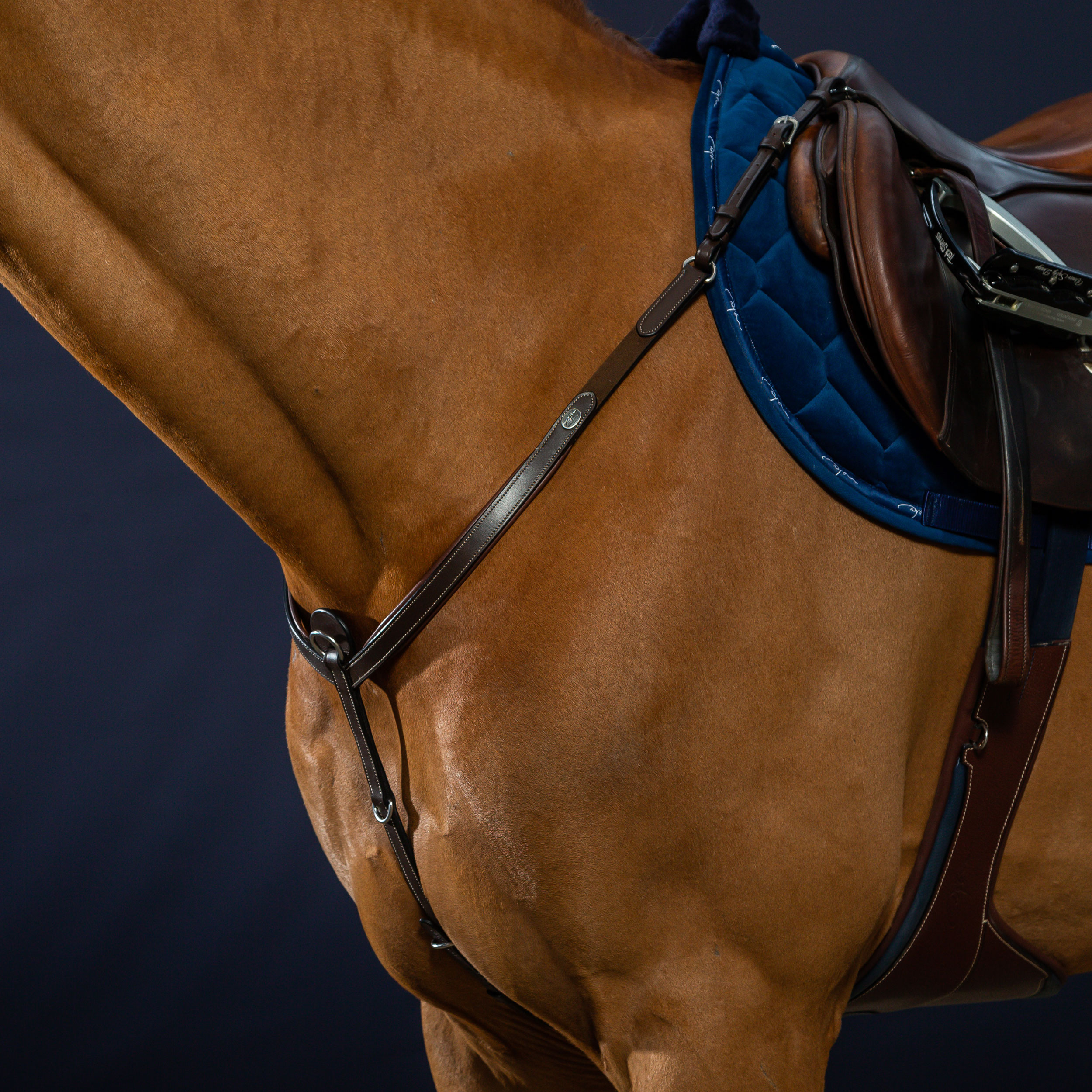 Dy'on Working Collection Breastplate - Image 3
