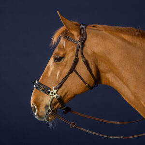 Dy'on D Collection Hackamore Bridle