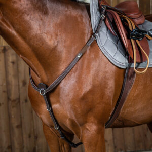 Dy'on Working Collection Breastplate