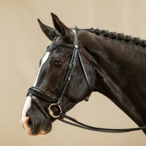 Dy'on Working Collection Patent Crank Noseband Bridle