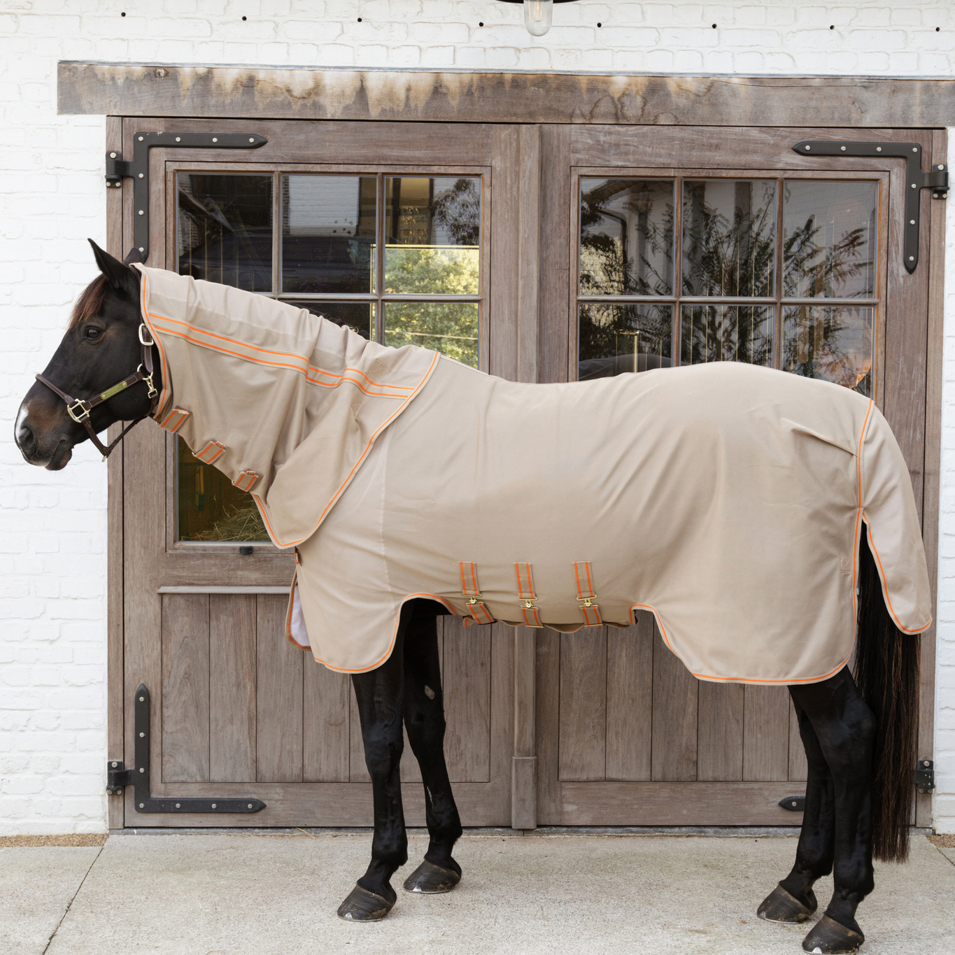 Kentucky Mesh Fly Rug Comfort