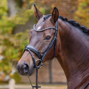 Passier Shadow Snaffle Bridle with Rubber Reins