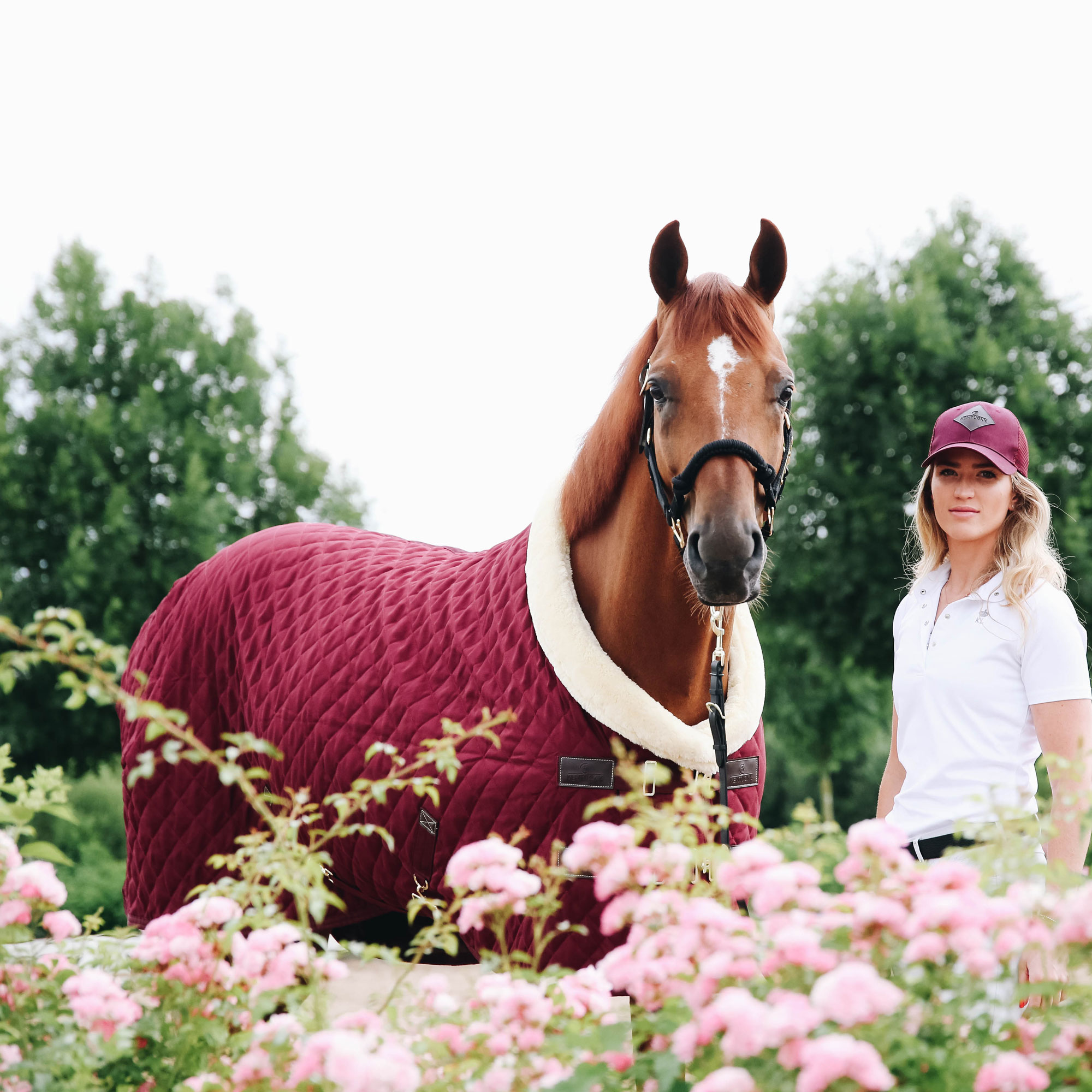 Kentucky Show Rug - Bordeaux - Image 2
