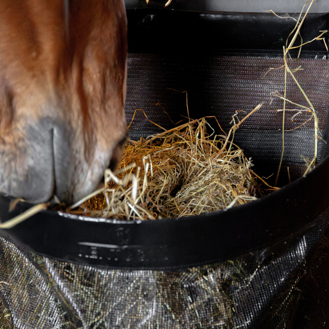 Kentucky Hay Bag Straight - Image 2