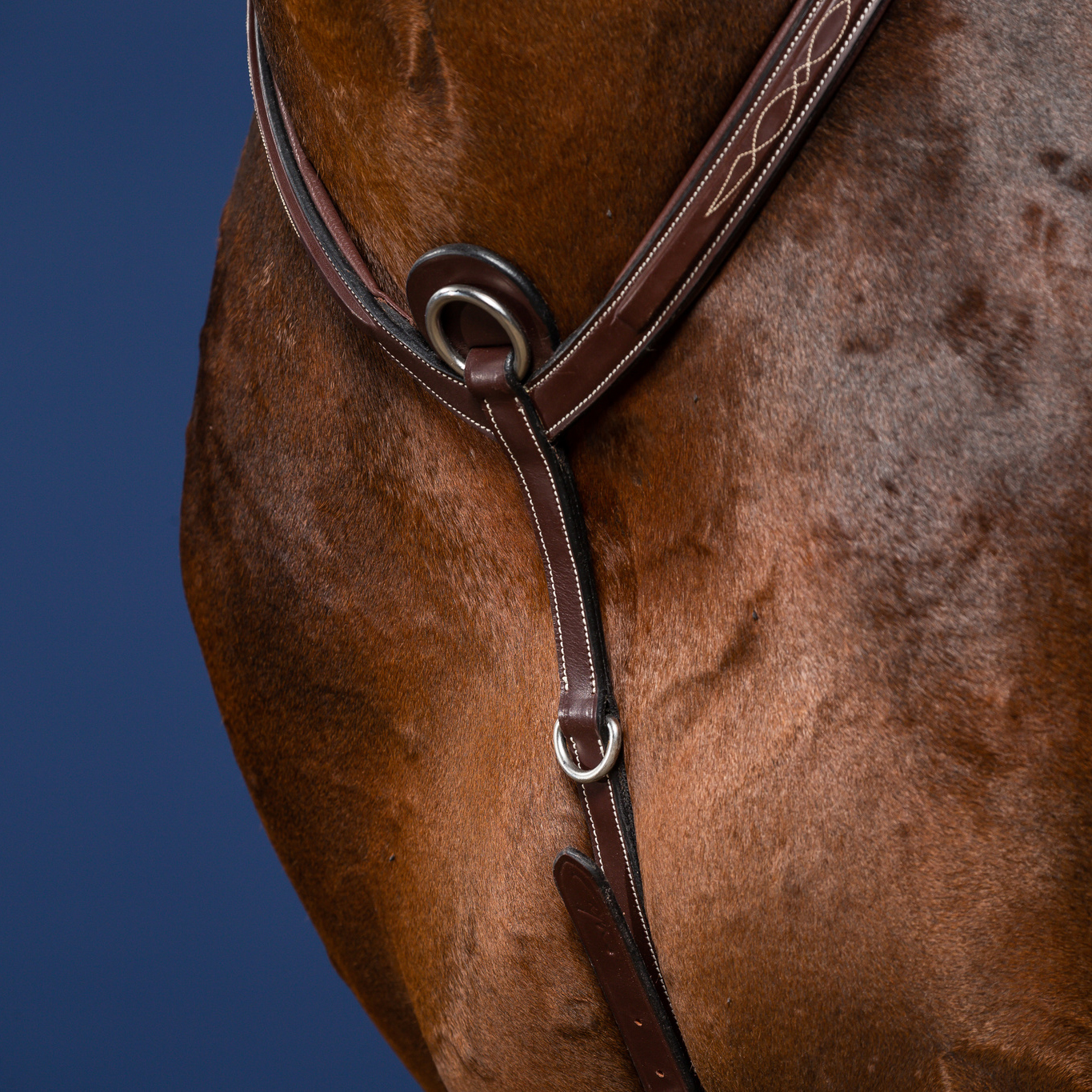 Dy'on US Collection Bridge Breastplate - Image 2