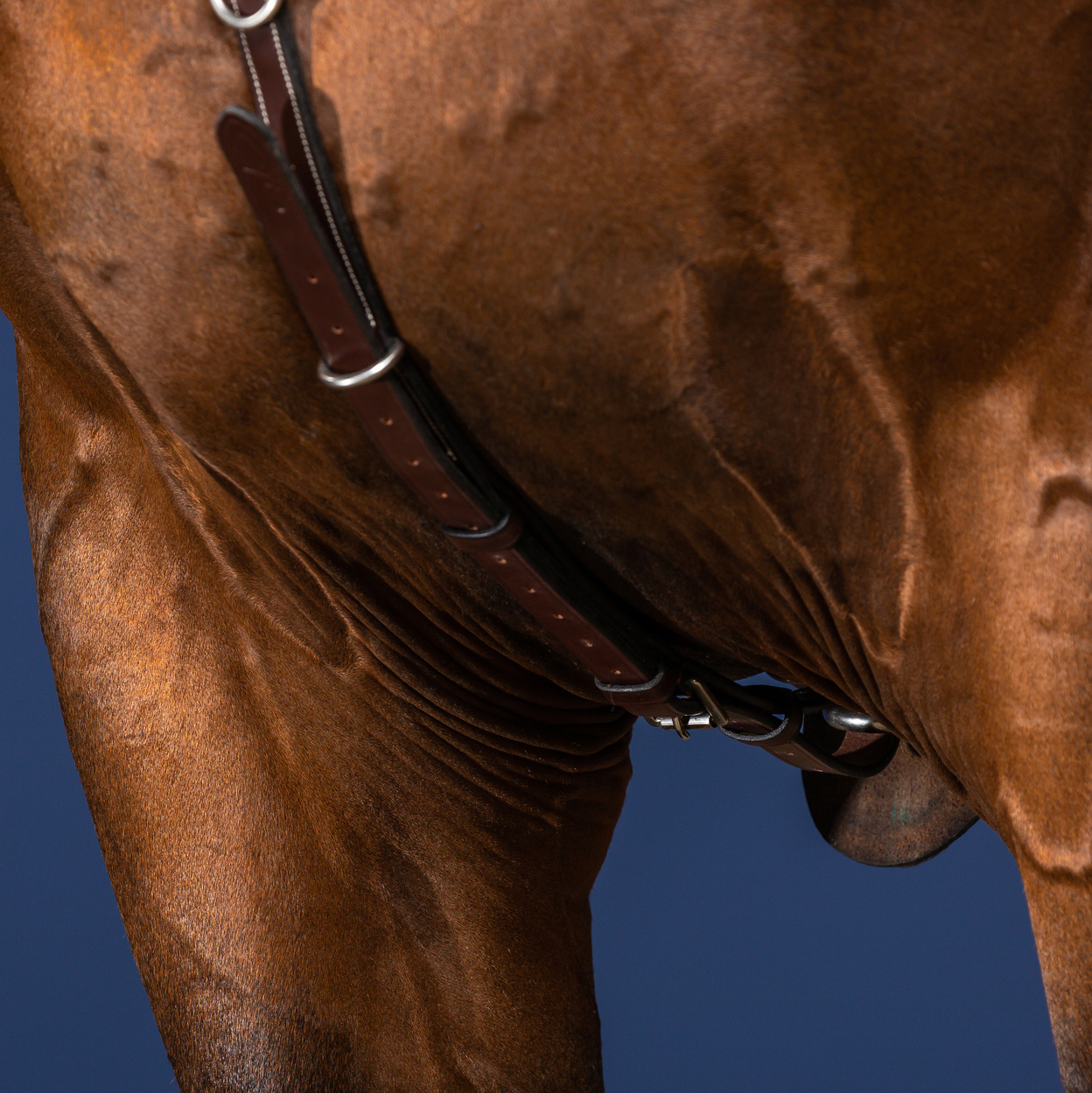 Dy'on US Collection Bridge Breastplate - Image 3