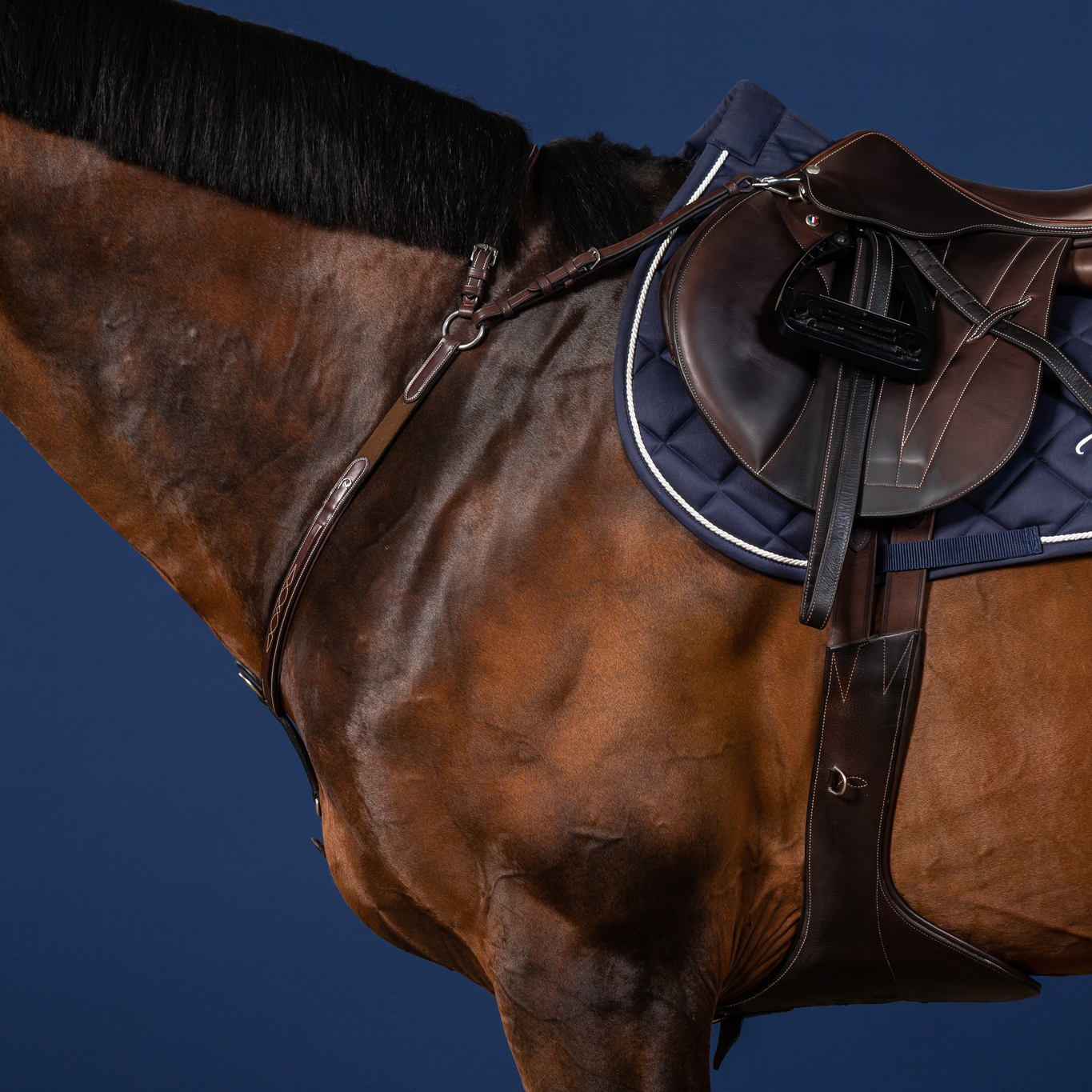 Dy'on US Collection Bridge Breastplate - Image 4