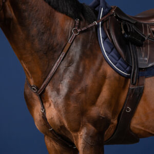 Dy'on US Collection Bridge Breastplate