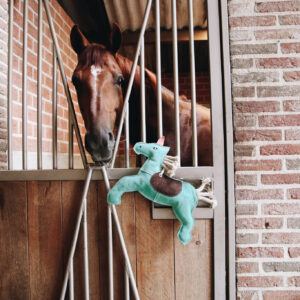 Kentucky Horsewear Relax Horse Toy - Unicorn