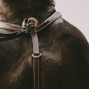 Dy'on Breastplate