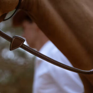 Dy'on Reins