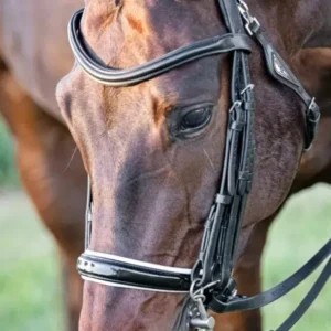 Equiline Bridles