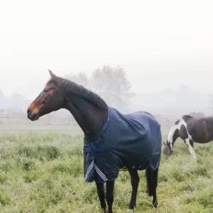 Kentucky Rugs