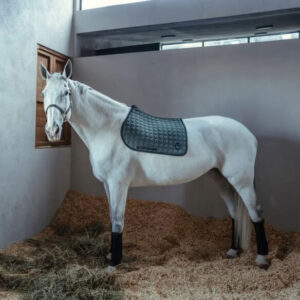 CT Saddle Pads & Ear Nets