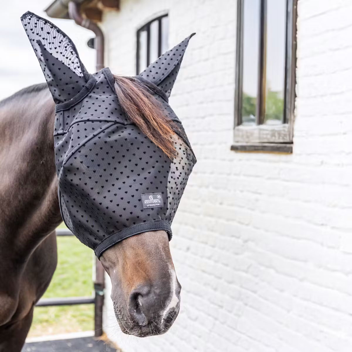Kentucky Fly Mask Heart with Ears and Nose Net - Black - Image 3