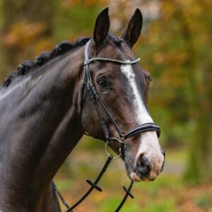 Passier Confidence Snaffle Bridle with Rubber Reins