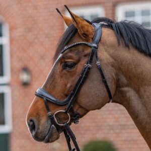 Passier Move Snaffle Bridle with Rubber Reins