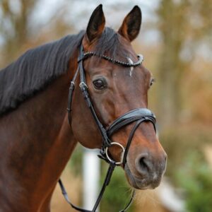 Passier Noblesse Snaffle Bridle with Rubber Reins