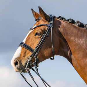 Passier Highscore Rolled Double Bridle with Double Reins