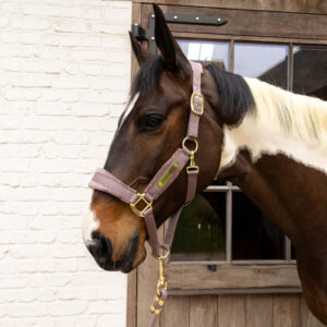 Kentucky Horsewear Velvet Head Collar - Old Rose