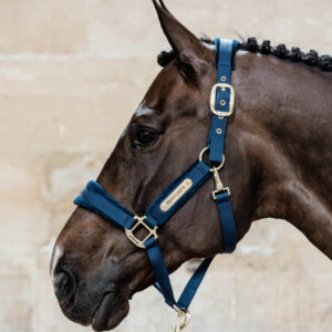 Kentucky Horsewear Velvet Head Collar - Navy