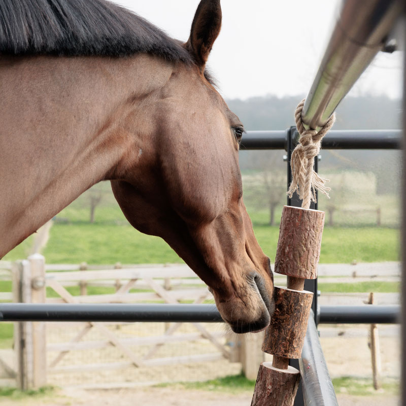 Grooming Deluxe Wooden Relax Horse Toy – Nature - Image 2