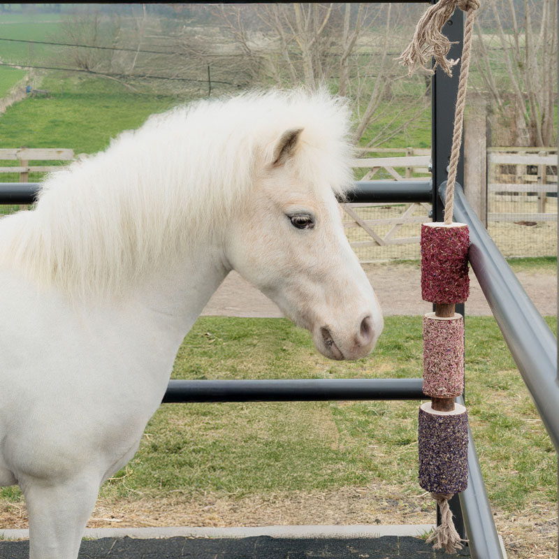 Grooming Deluxe Wooden Relax Horse Toy – De-Stress - Image 2