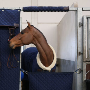 Kentucky Horsewear Stable Head Protector - Navy