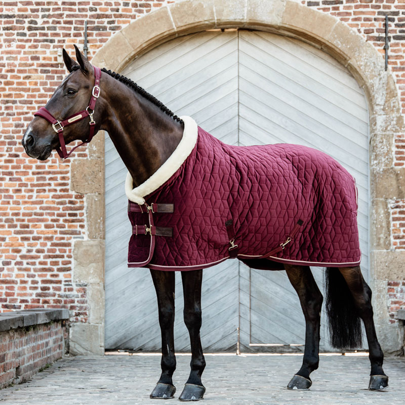 Kentucky Velvet Show Rug - Image 2