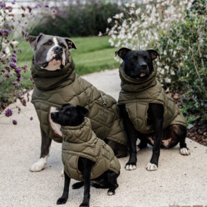 Kentucky Dog Coat Winter Pina - Pine Green