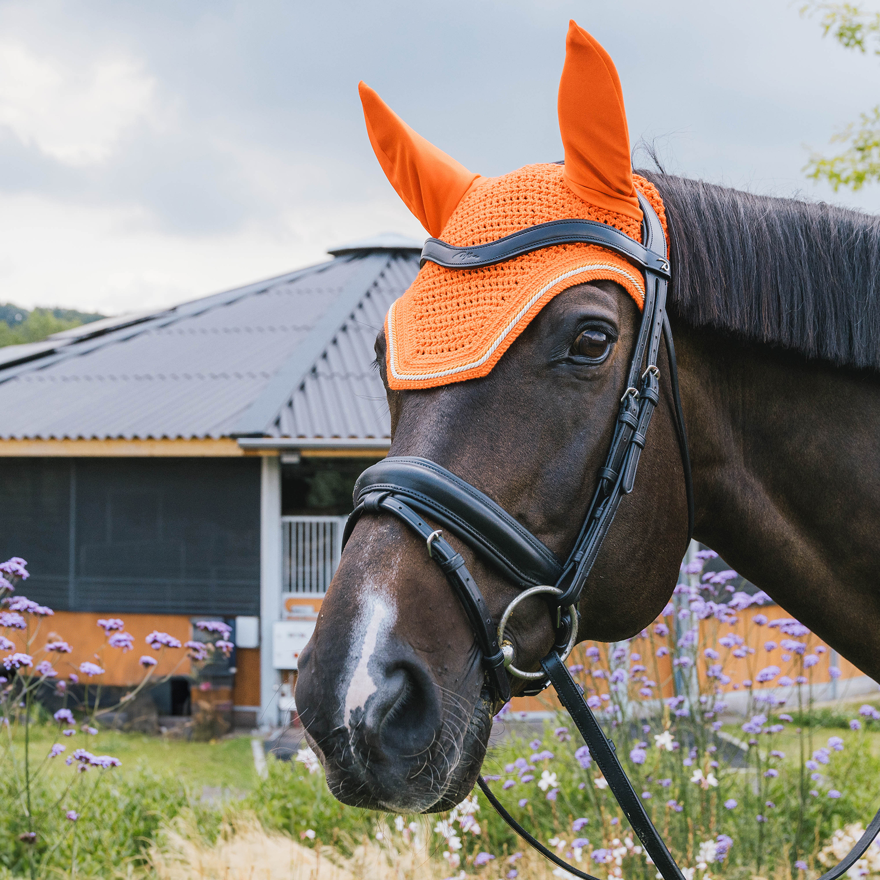 Kentucky Fly Veil Wellington Diamond Rope - Orange