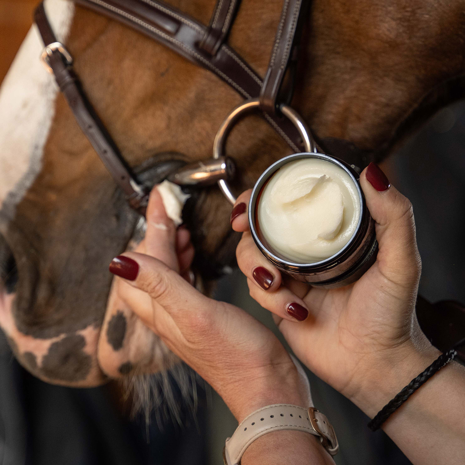 Grooming Deluxe Bubblegum Mouth & Bit Butter - Image 3