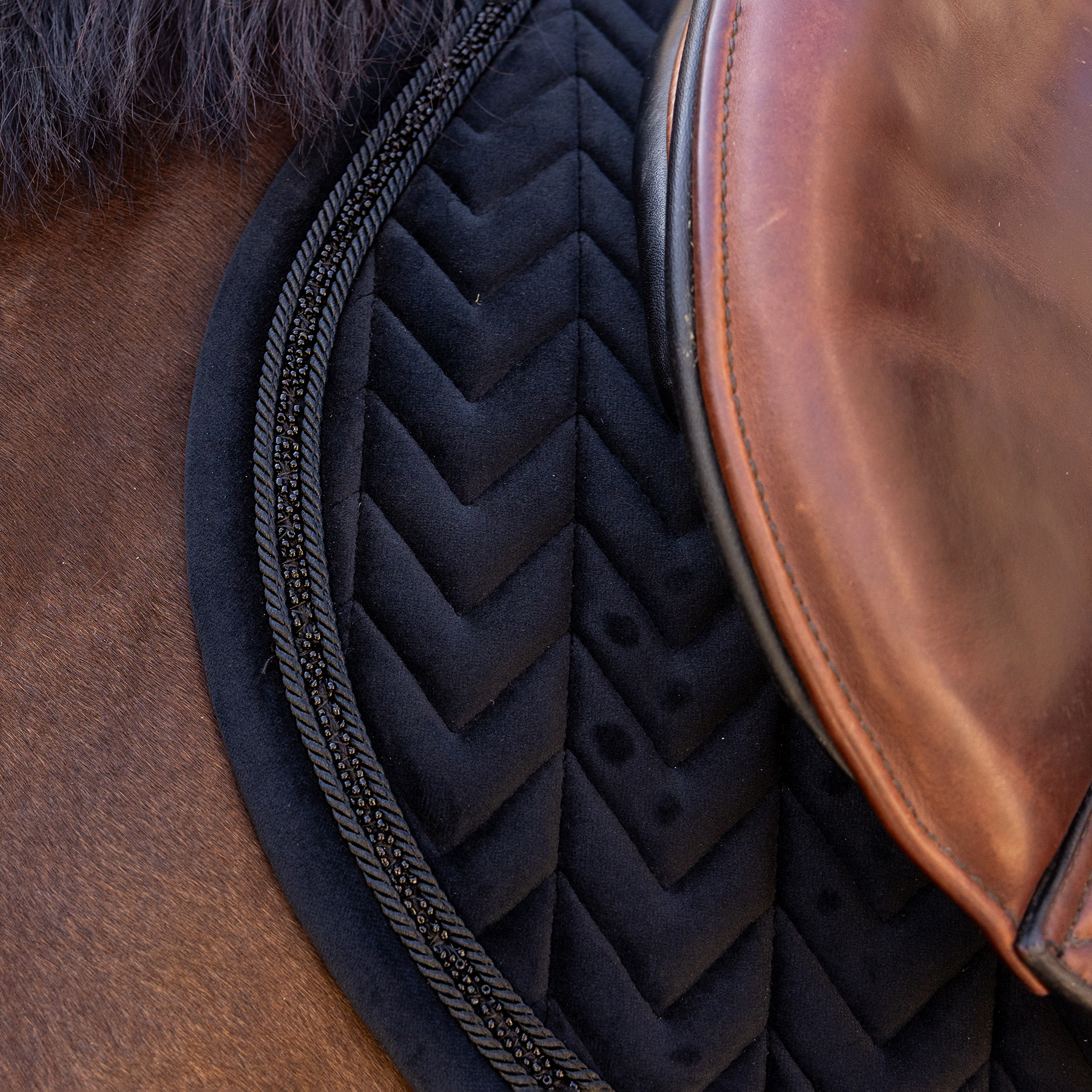 Kentucky Velvet Mini Pearls Jumping Saddle Pad - Black - Image 2