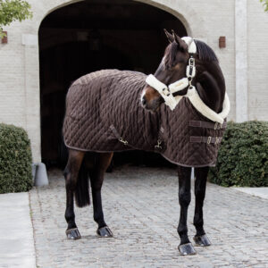 Kentucky Show Rug - Brown