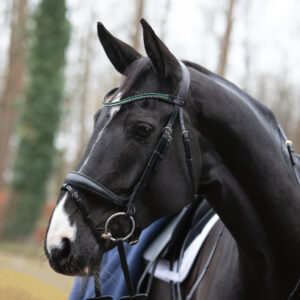 Passier Fantastic Snaffle Bridle with Rubber Reins