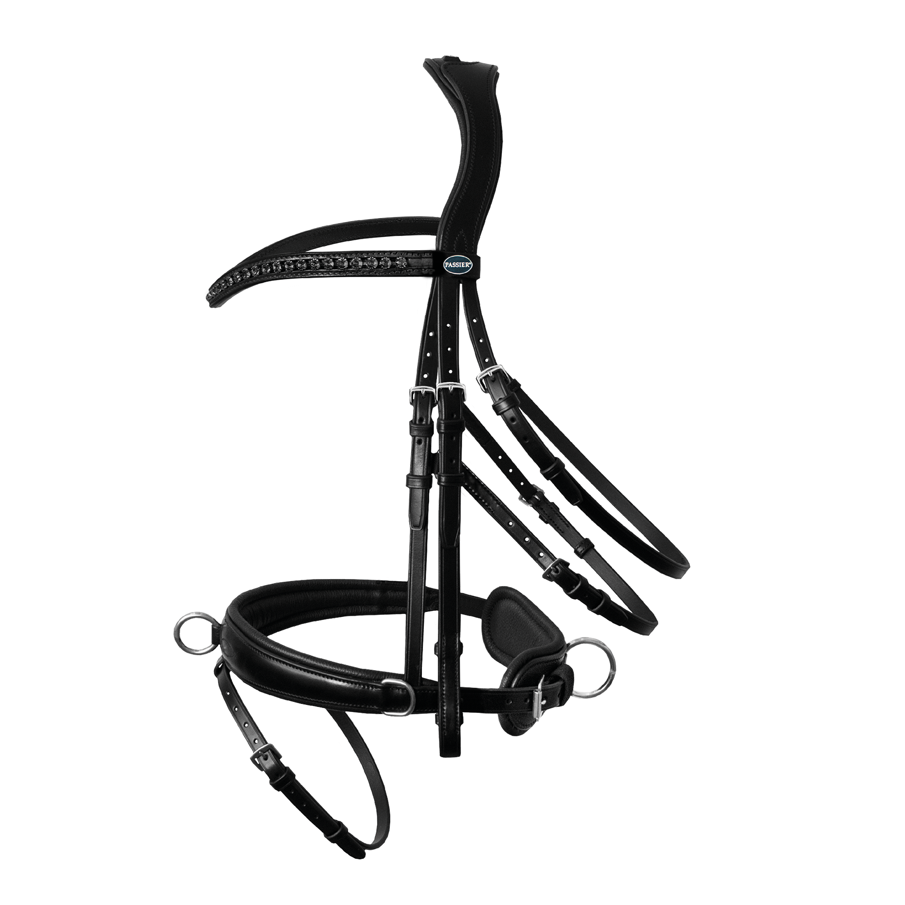 Passier Lunging Bridle - Image 2