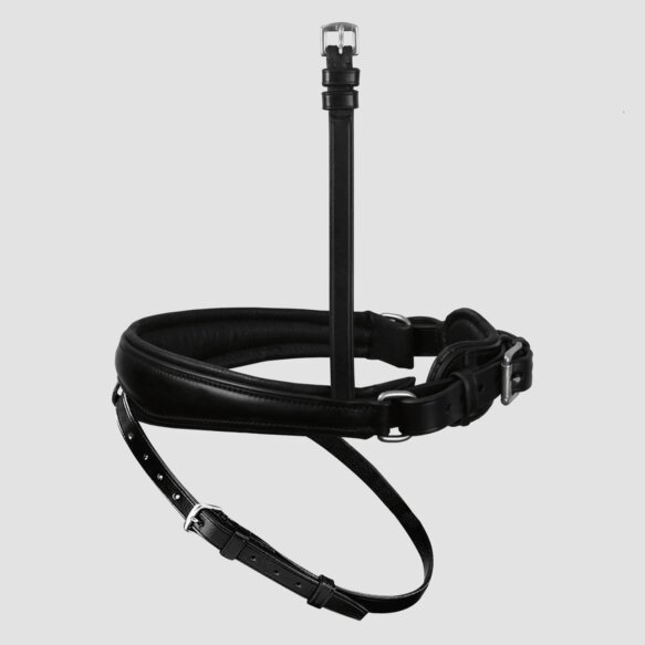 Passier Anatomically Formed Caveson with Padded Flash Strap - Image 2