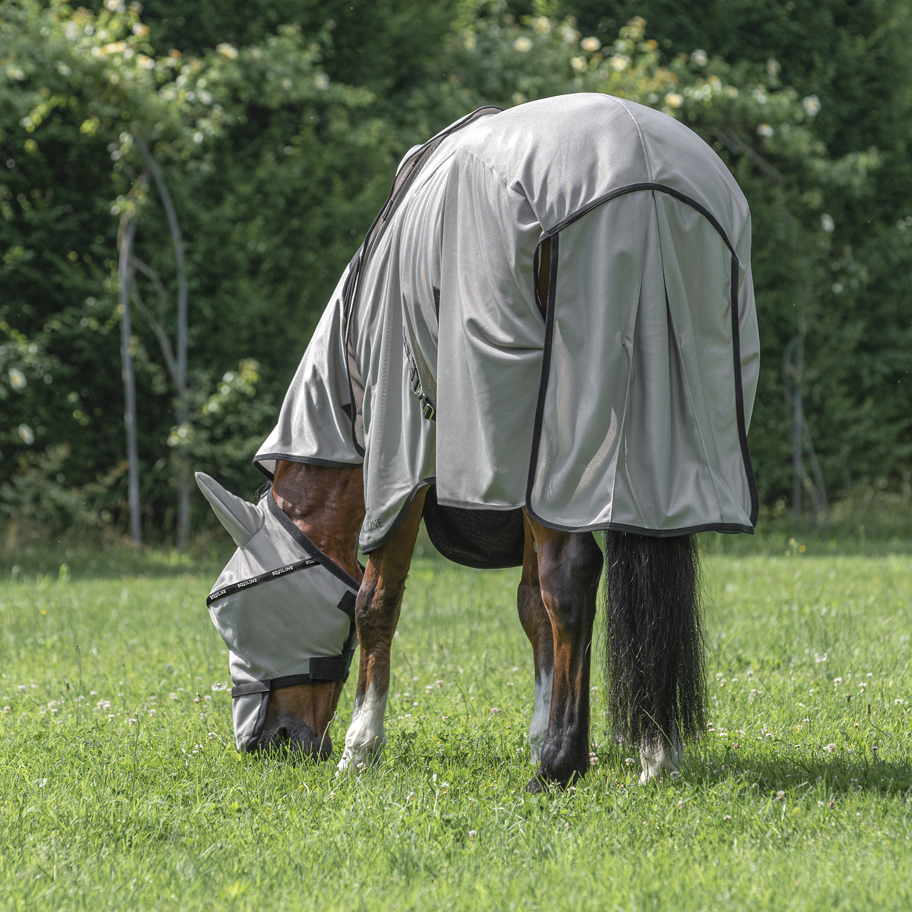 Equiline Anti Fly Rug with Neck Lemonfly - Image 3