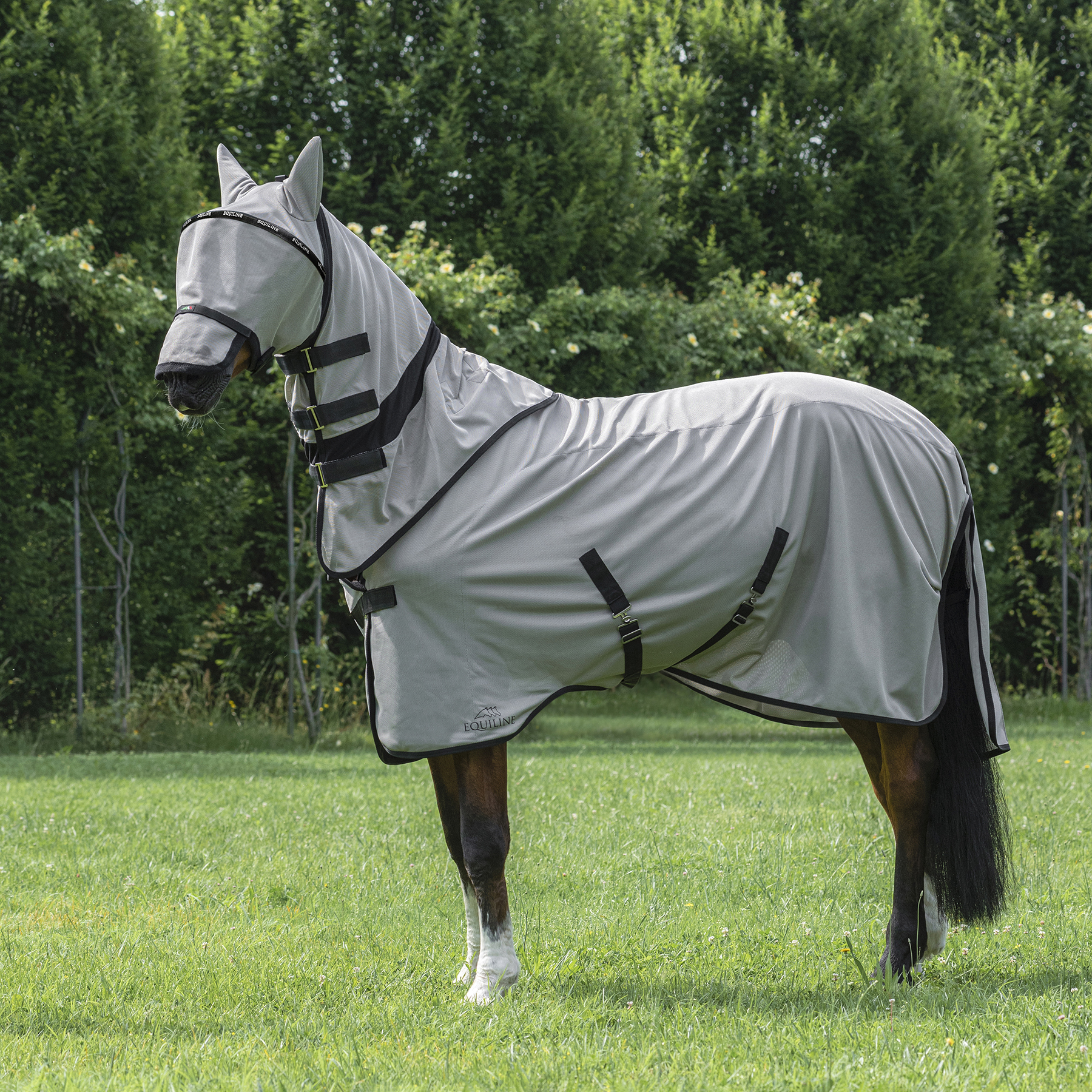 Equiline Anti Fly Rug with Neck Lemonfly - Image 2