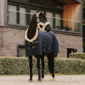Kentucky Show Rug - Navy