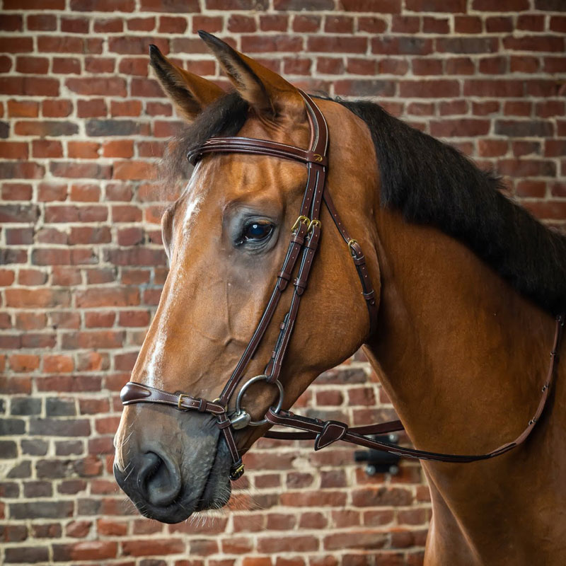Dy'on D Collection Drop Noseband Bridle