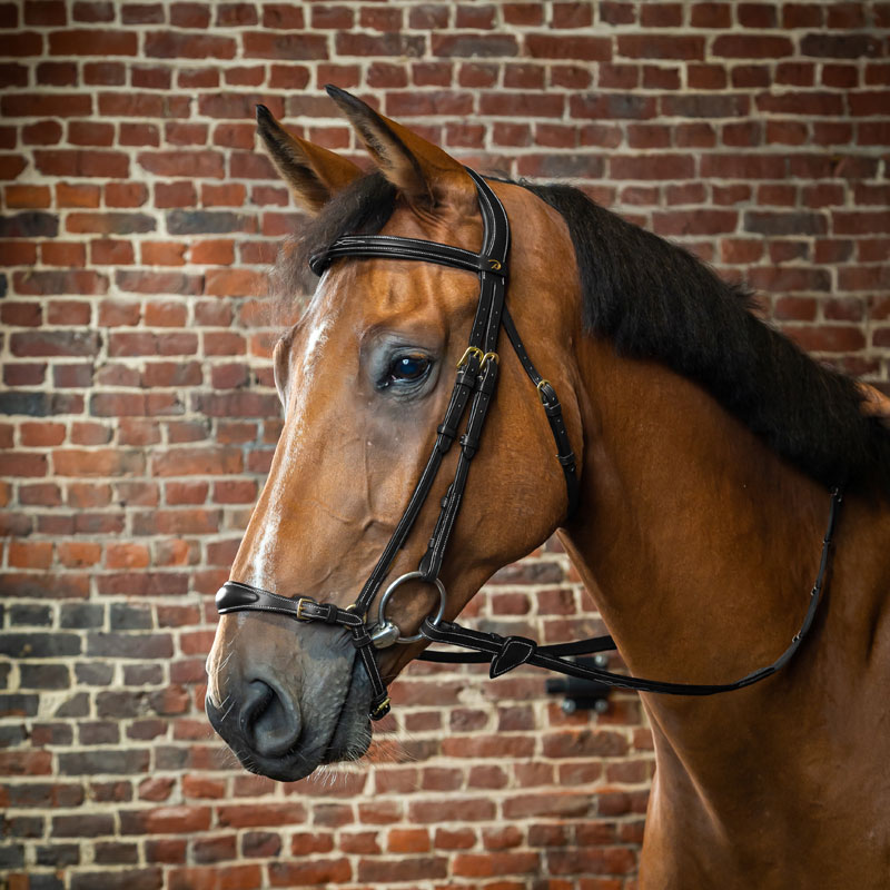 Dy'on D Collection Drop Noseband Bridle - Image 2