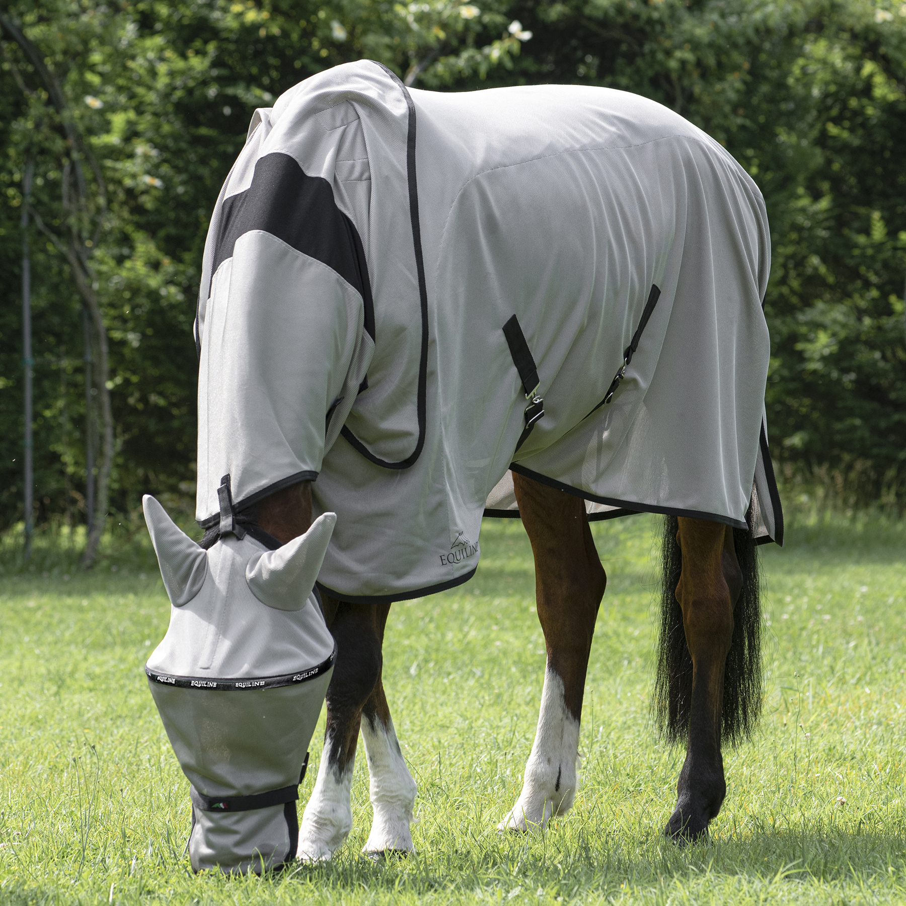 Equiline Anti Fly Rug with Neck Lemonfly - Image 4