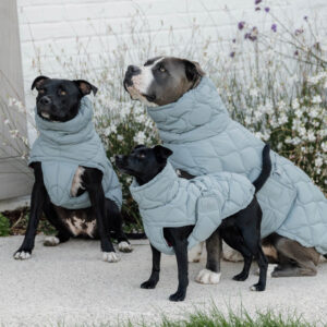 Kentucky Dog Coat Winter Pina - Dusty Blue