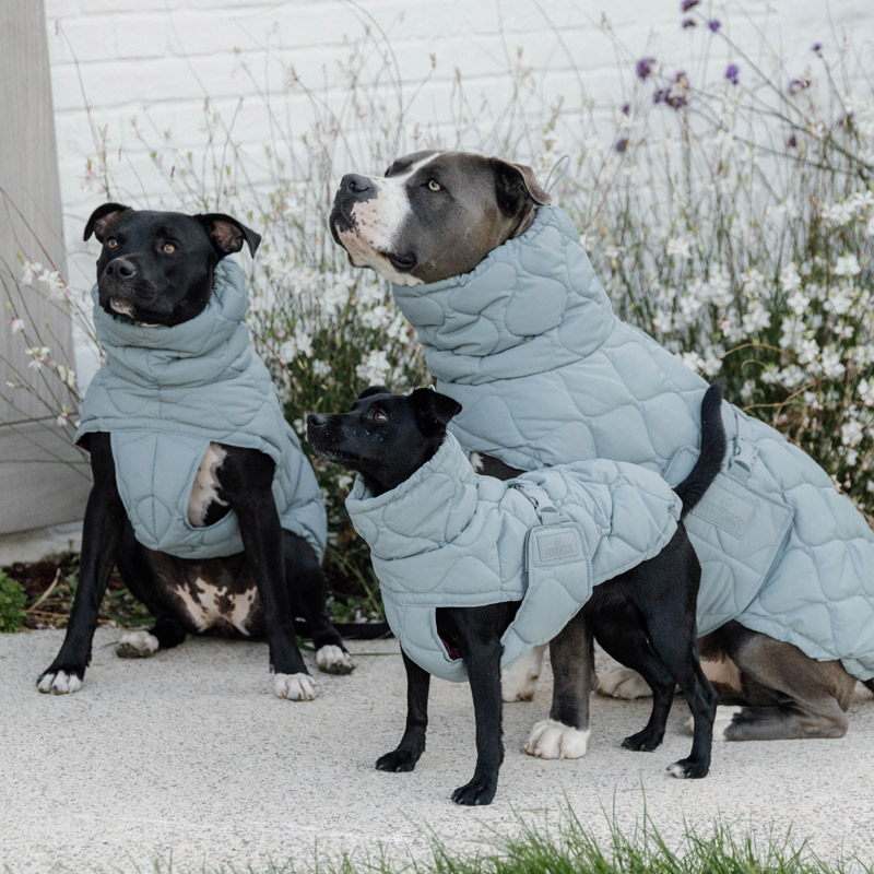 Kentucky  Dog Coat Winter Pina - Dusty Blue