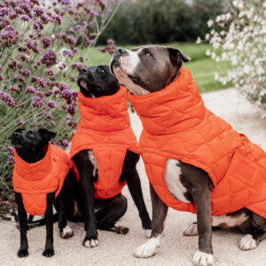 Kentucky Dog Coat Winter Pina - Orange